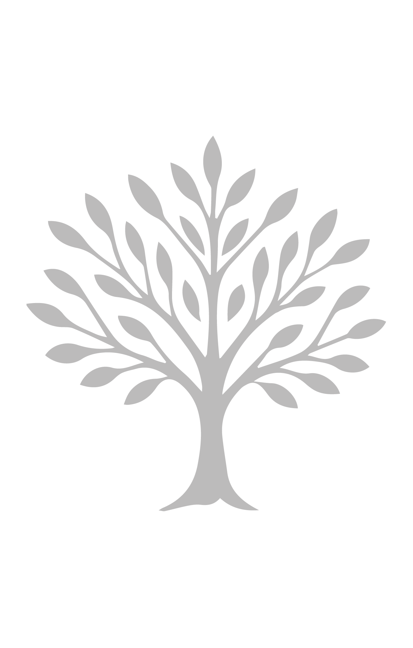 NOA Logo